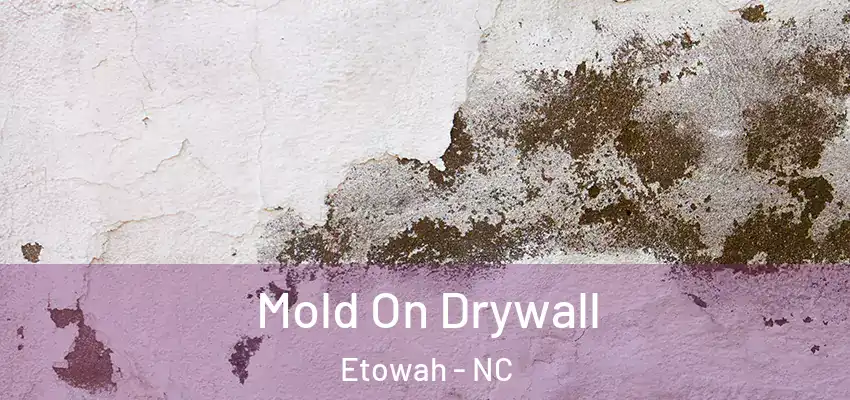  Mold On Drywall Etowah - NC