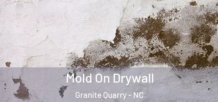 Mold On Drywall Granite Quarry - NC