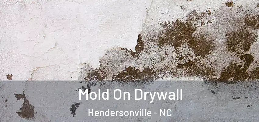 Mold On Drywall Hendersonville - NC