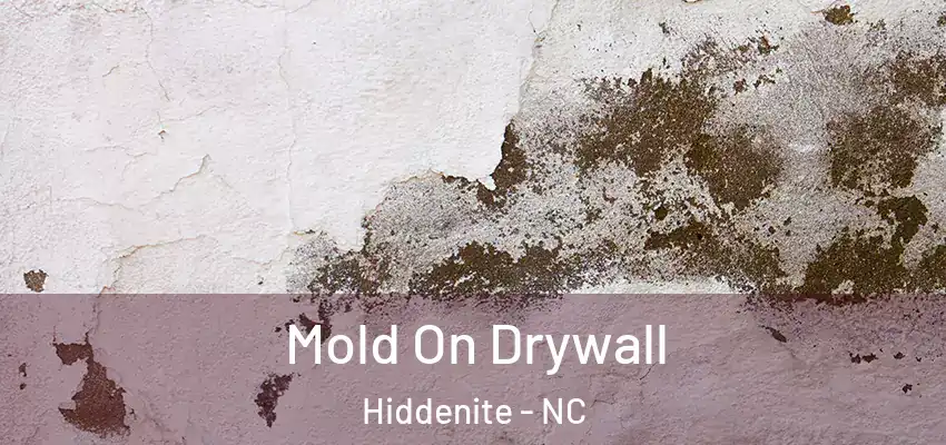  Mold On Drywall Hiddenite - NC