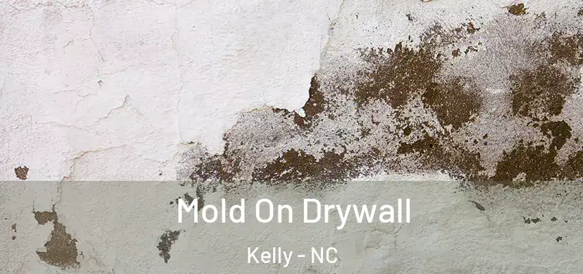 Mold On Drywall Kelly - NC