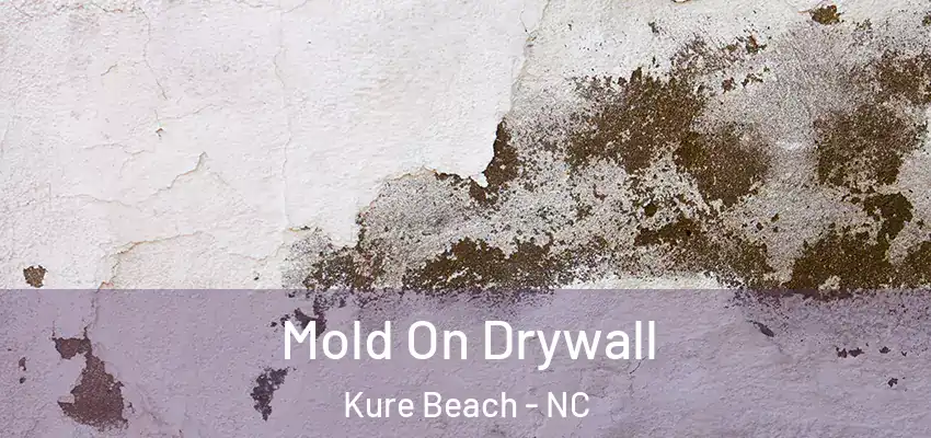 Mold On Drywall Kure Beach - NC