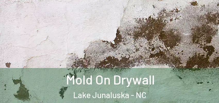 Mold On Drywall Lake Junaluska - NC