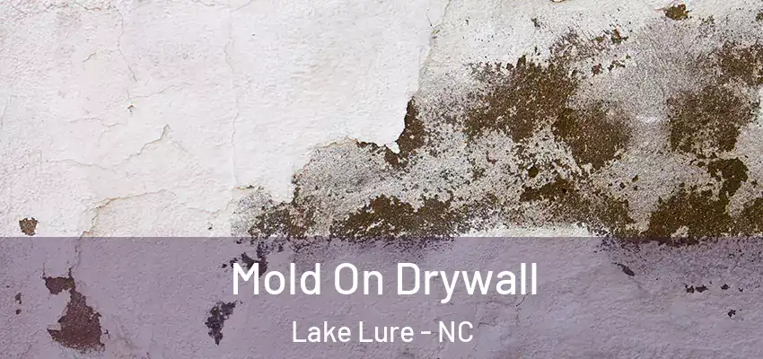  Mold On Drywall Lake Lure - NC