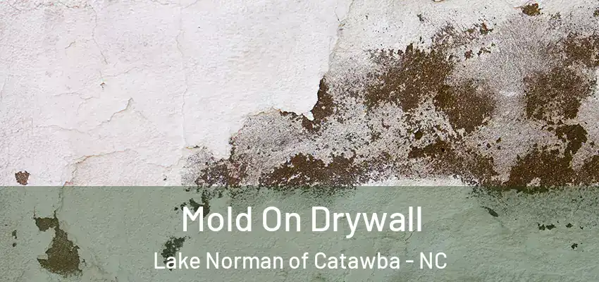  Mold On Drywall Lake Norman of Catawba - NC