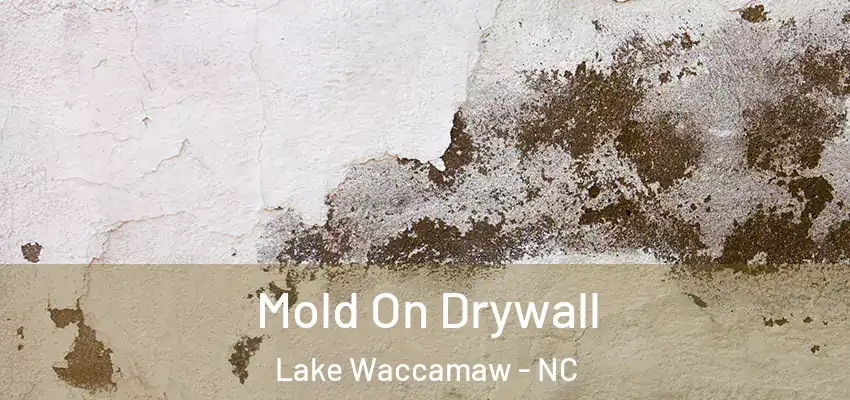 Mold On Drywall Lake Waccamaw - NC