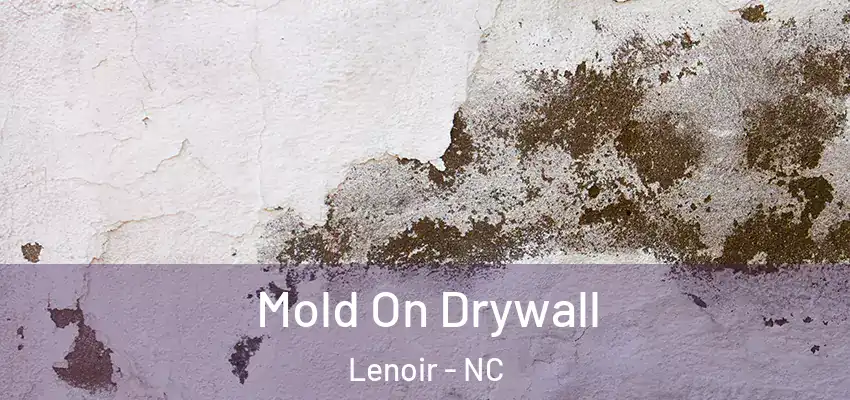  Mold On Drywall Lenoir - NC