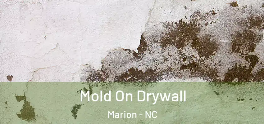  Mold On Drywall Marion - NC