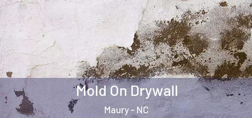Mold On Drywall Maury - NC