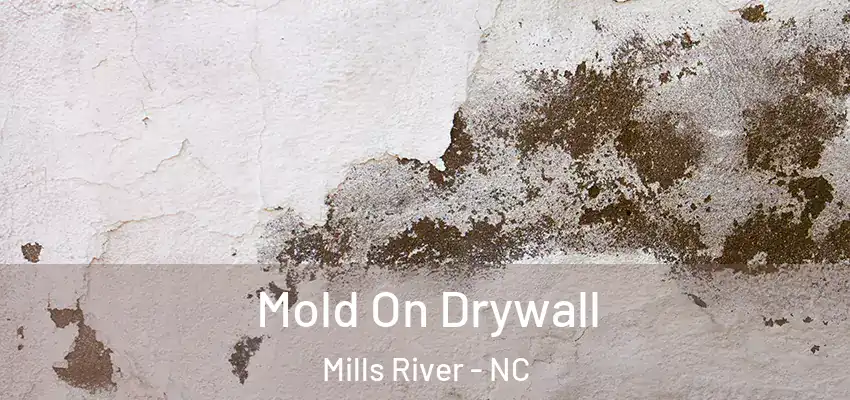  Mold On Drywall Mills River - NC