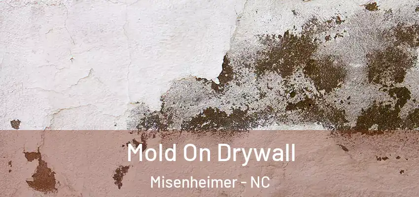  Mold On Drywall Misenheimer - NC