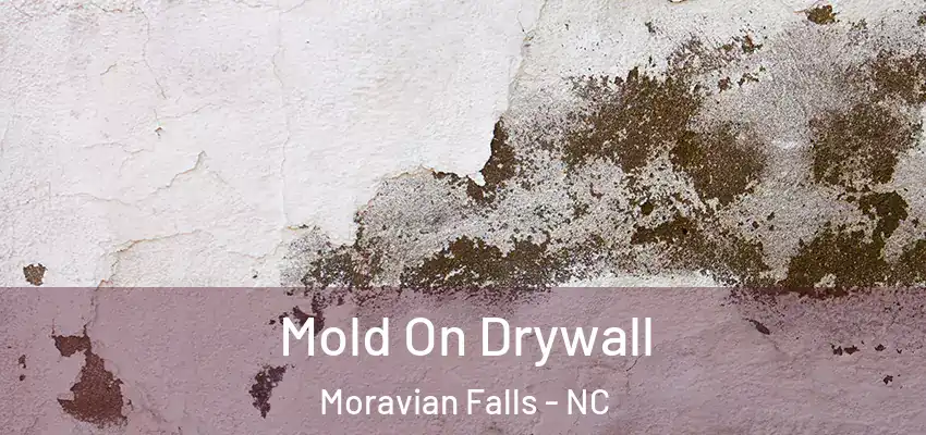 Mold On Drywall Moravian Falls - NC