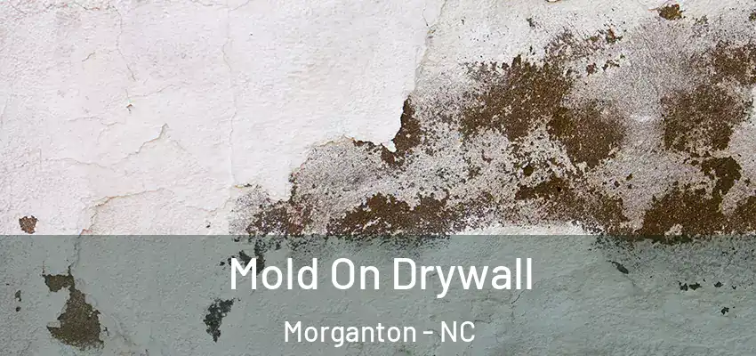  Mold On Drywall Morganton - NC