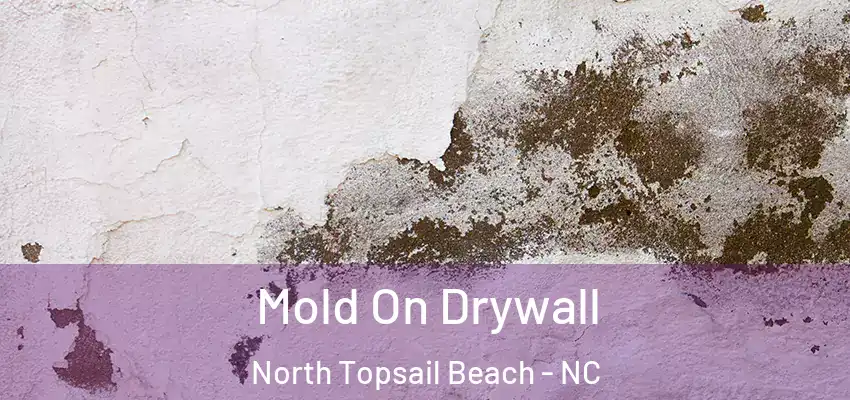  Mold On Drywall North Topsail Beach - NC