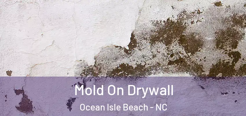  Mold On Drywall Ocean Isle Beach - NC