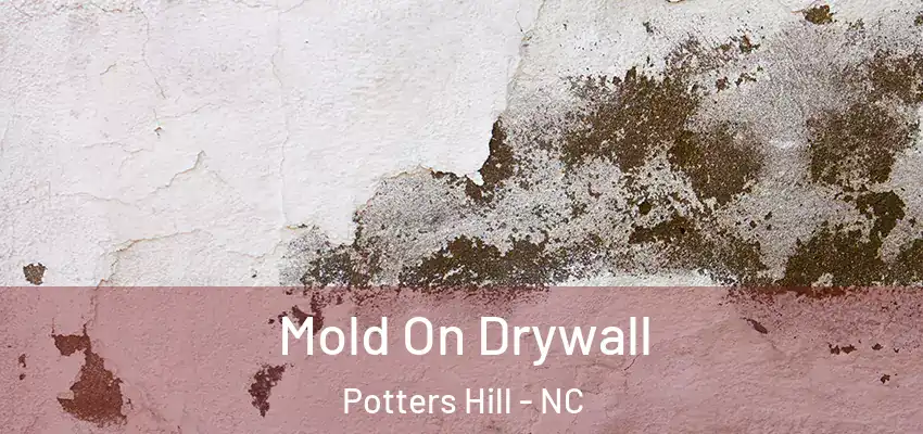  Mold On Drywall Potters Hill - NC