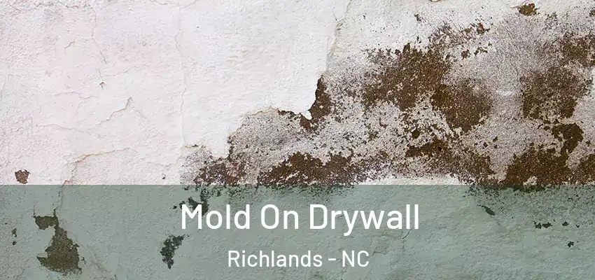  Mold On Drywall Richlands - NC