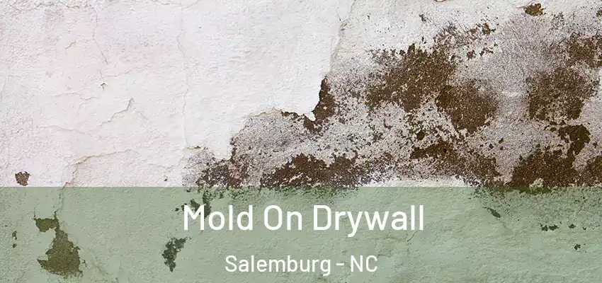  Mold On Drywall Salemburg - NC