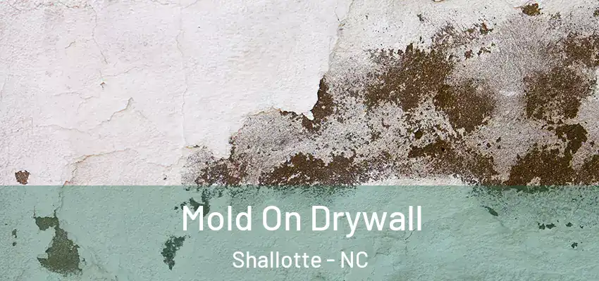 Mold On Drywall Shallotte - NC