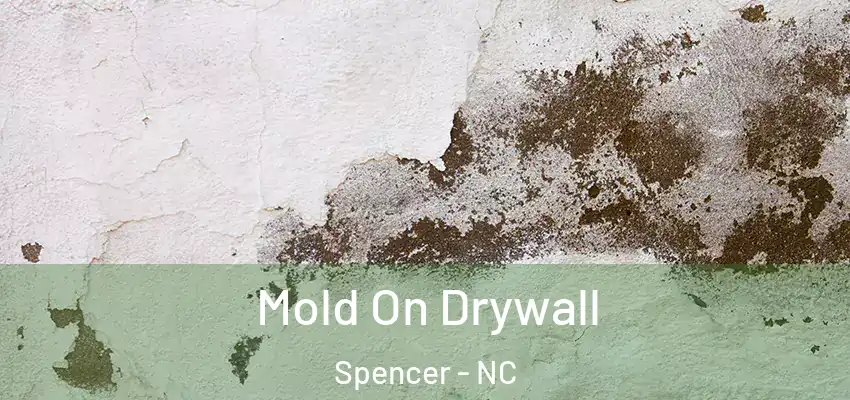 Mold On Drywall Spencer - NC