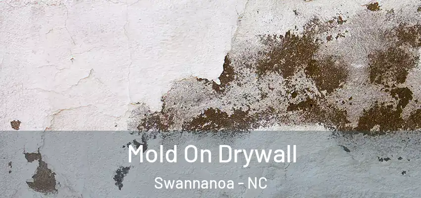  Mold On Drywall Swannanoa - NC
