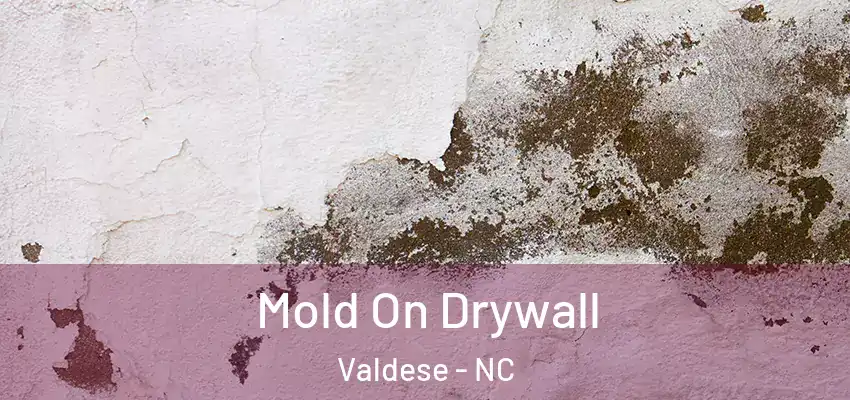  Mold On Drywall Valdese - NC