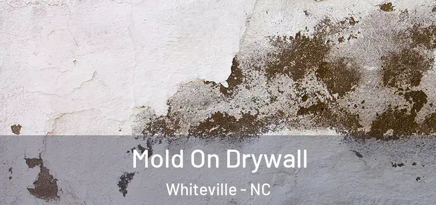  Mold On Drywall Whiteville - NC