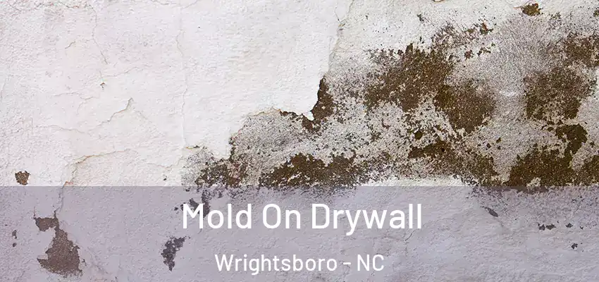  Mold On Drywall Wrightsboro - NC