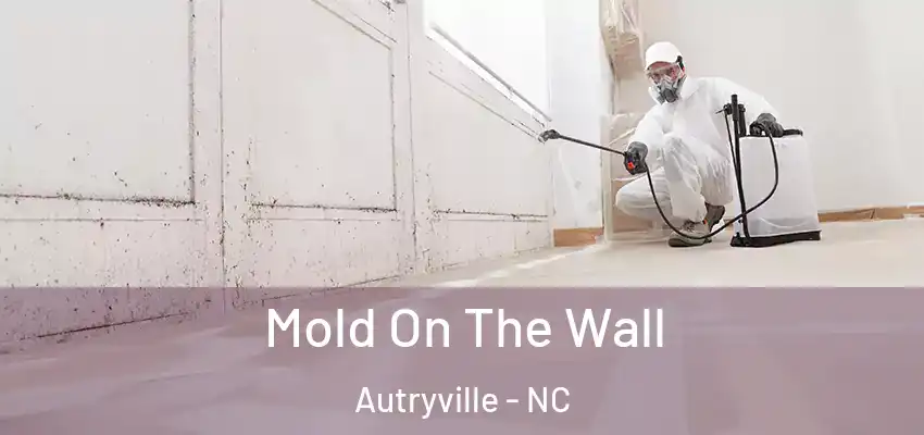  Mold On The Wall Autryville - NC
