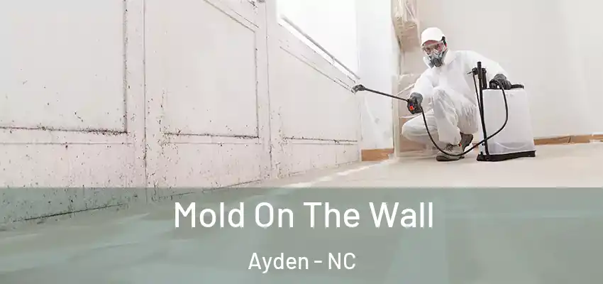  Mold On The Wall Ayden - NC
