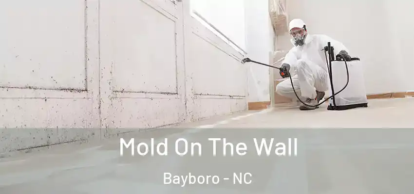 Mold On The Wall Bayboro - NC