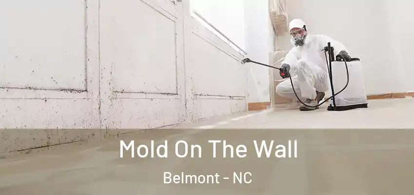  Mold On The Wall Belmont - NC