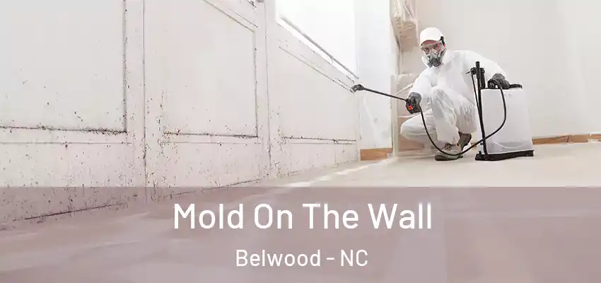 Mold On The Wall Belwood - NC