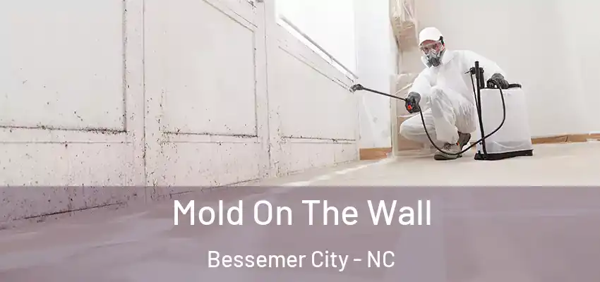  Mold On The Wall Bessemer City - NC