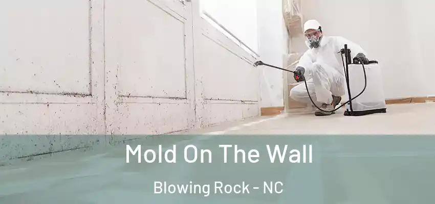 Mold On The Wall Blowing Rock - NC