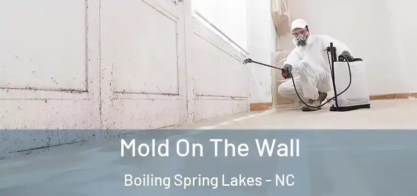  Mold On The Wall Boiling Spring Lakes - NC