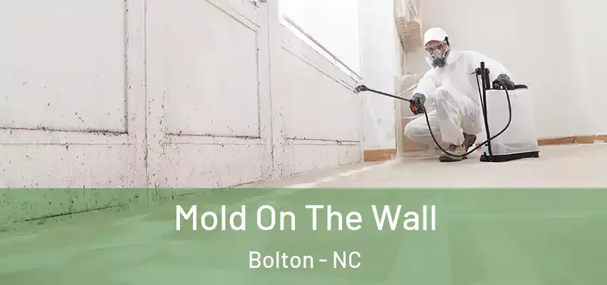  Mold On The Wall Bolton - NC