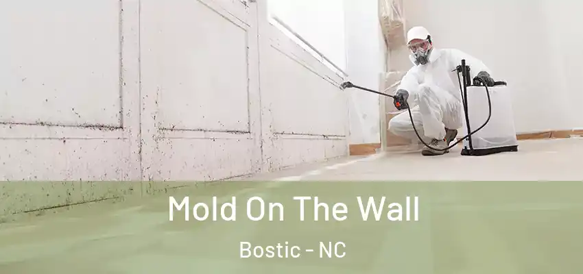 Mold On The Wall Bostic - NC