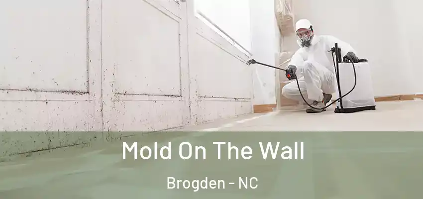  Mold On The Wall Brogden - NC