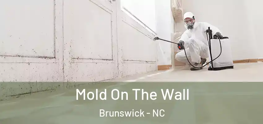  Mold On The Wall Brunswick - NC