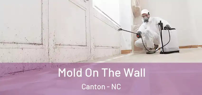  Mold On The Wall Canton - NC