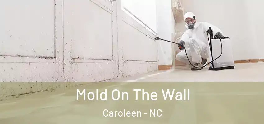  Mold On The Wall Caroleen - NC