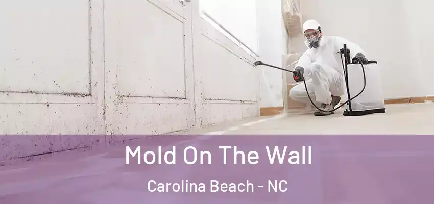 Mold On The Wall Carolina Beach - NC