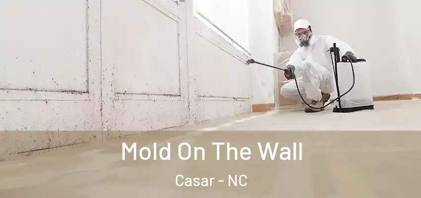  Mold On The Wall Casar - NC