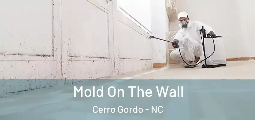  Mold On The Wall Cerro Gordo - NC