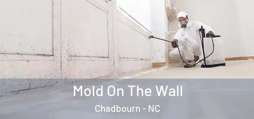  Mold On The Wall Chadbourn - NC