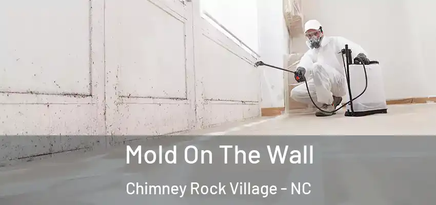  Mold On The Wall Chimney Rock Village - NC
