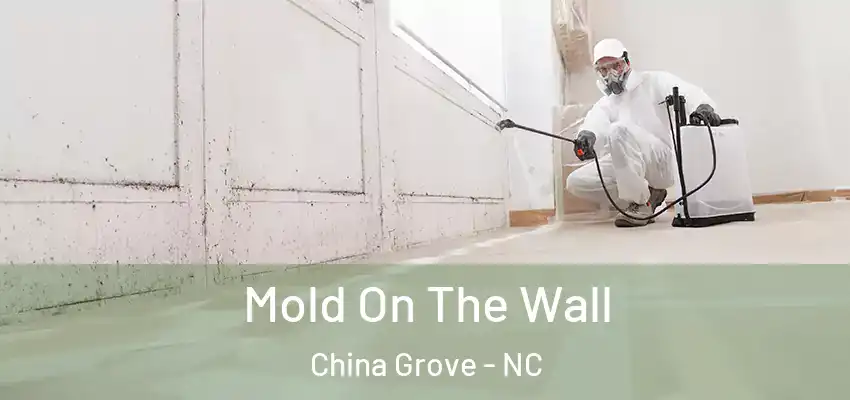  Mold On The Wall China Grove - NC