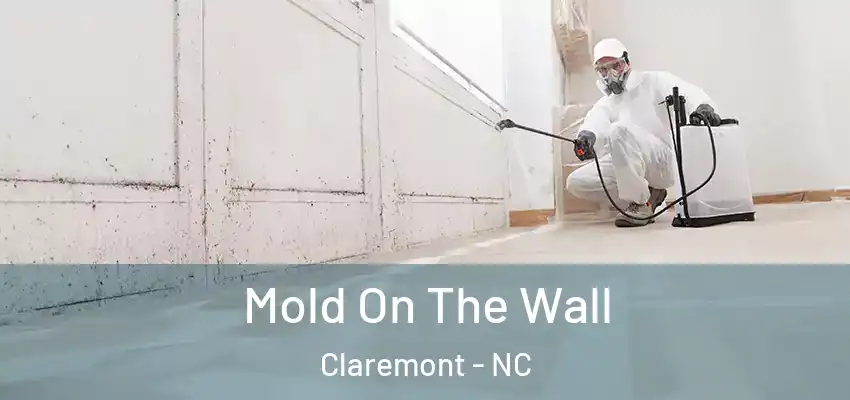  Mold On The Wall Claremont - NC