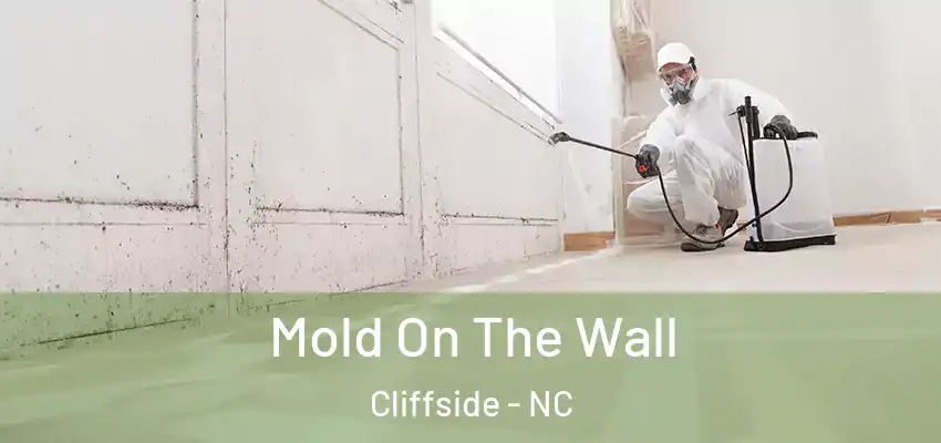 Mold On The Wall Cliffside - NC